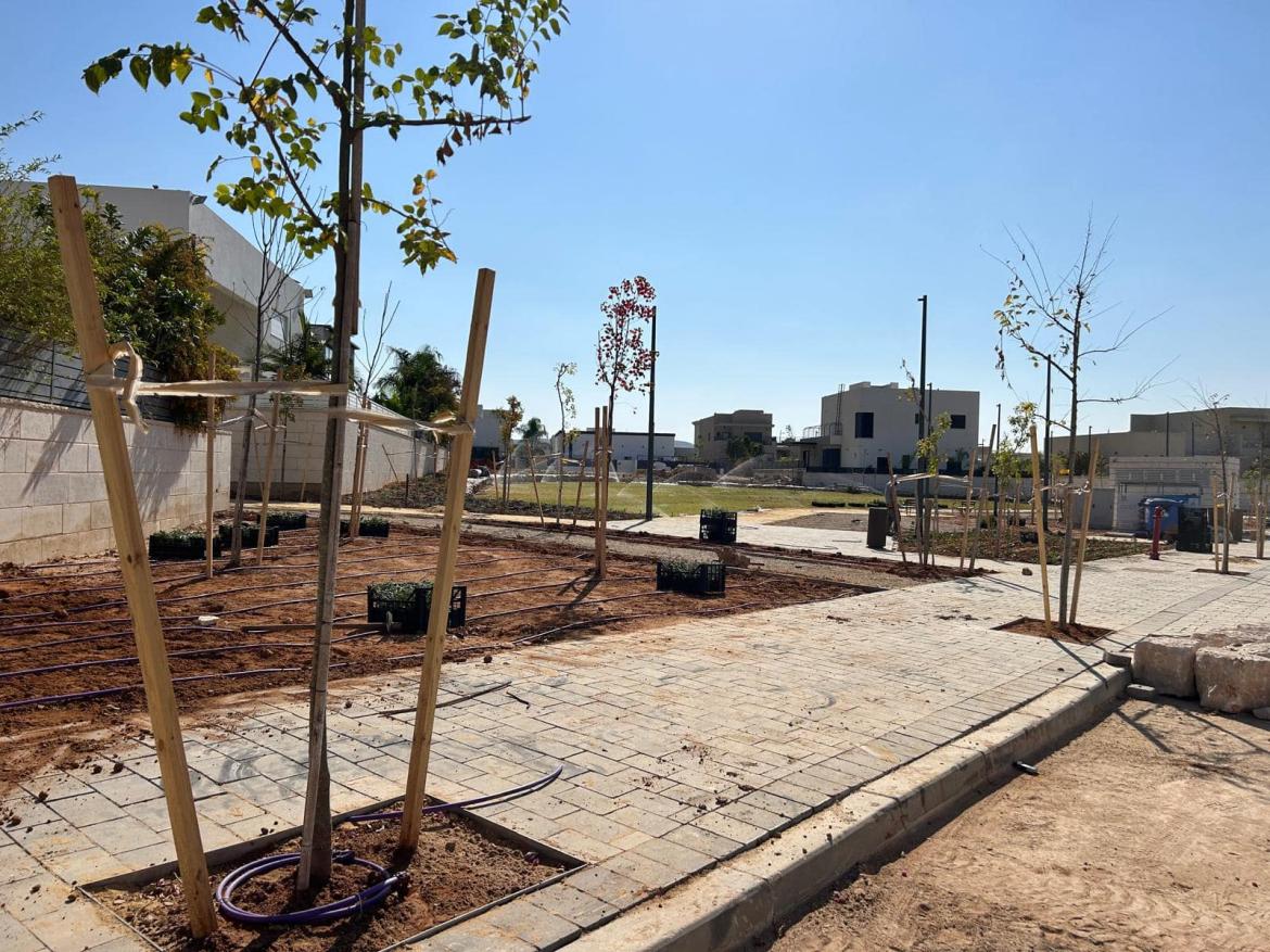 שכונת שרונית ממשיכה בתנופת פיתוח