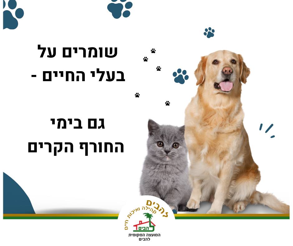 תמונה של כלב וחתול וטקסט שומרים על בעלי החיים גם בימי החורף הקרים