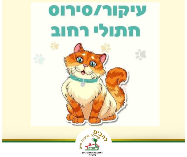 מבצע עיקור-סירוס חתולי רחוב בלהבים