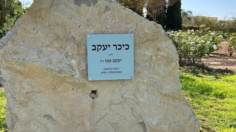 כיכר יעקב עכו