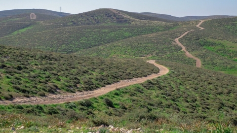 תמונת נוף 2.jpg